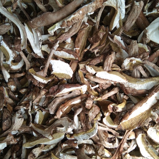 丘北县美味牛肝菌 干牛肝菌 野生牛肝菌