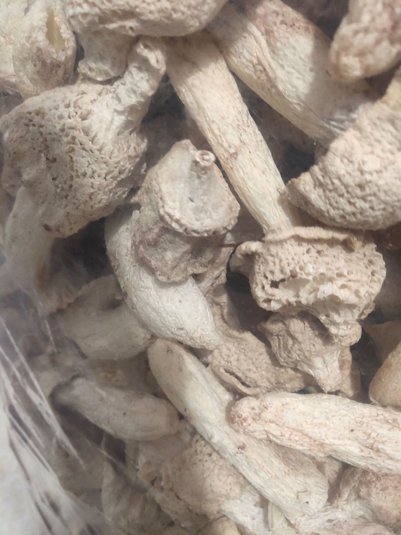 冬荪  货好 货干 肉厚  好好好好好好好好好好好好好好好好好好好好