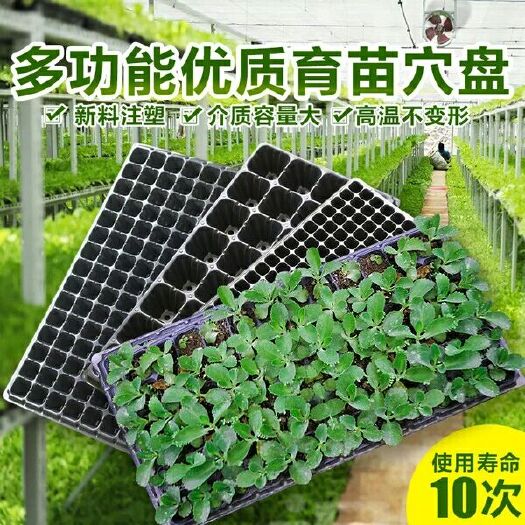 涟水县穴盘/育苗盘 【育苗盘 穴盘育苗盒苗木多肉育苗箱育苗盆种植盘穴盆芽菜盘育苗