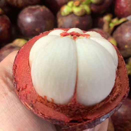 昆明 泰国山竹，承接各平台一件代发！