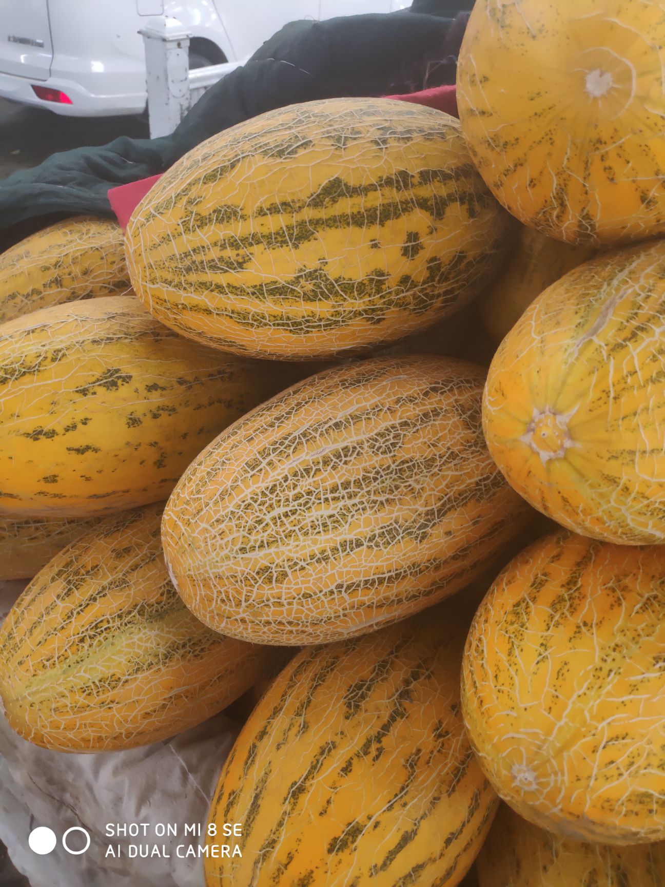 金凤凰哈密瓜 2斤以上