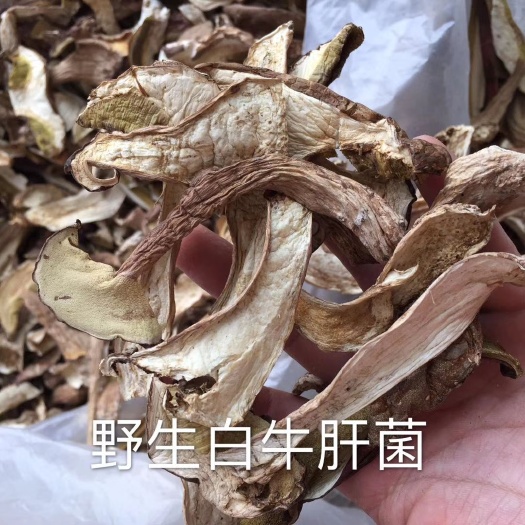 云南美味牛肝菌   白牛肝菌（干品）