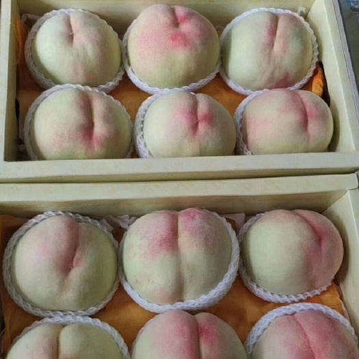 无锡阳山水蜜桃 阳