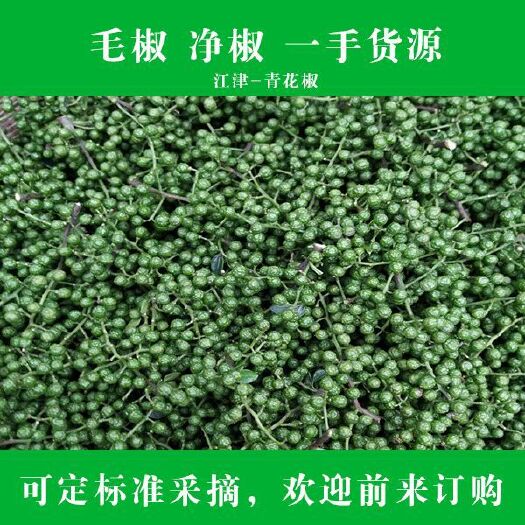 重庆市青花椒 毛椒，净椒，一手货源