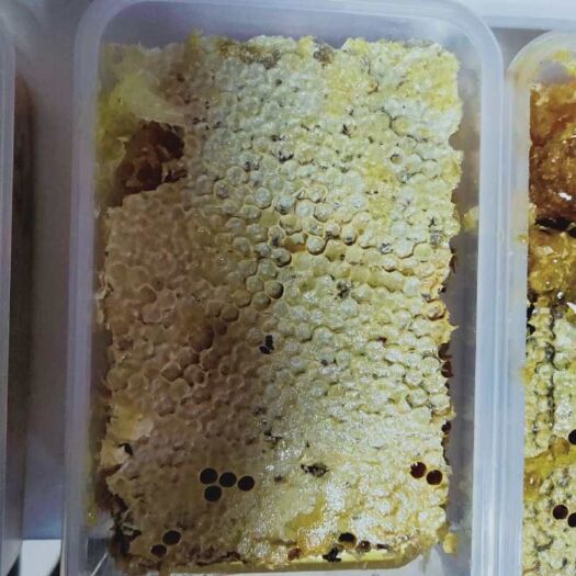 太白县 土蜂巢蜜