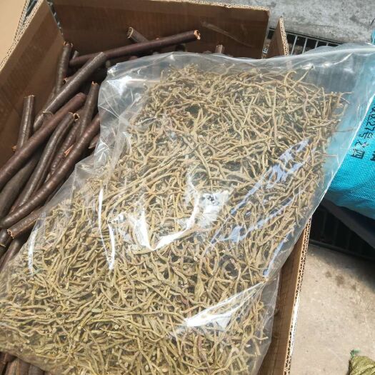 昆明铁皮石斛