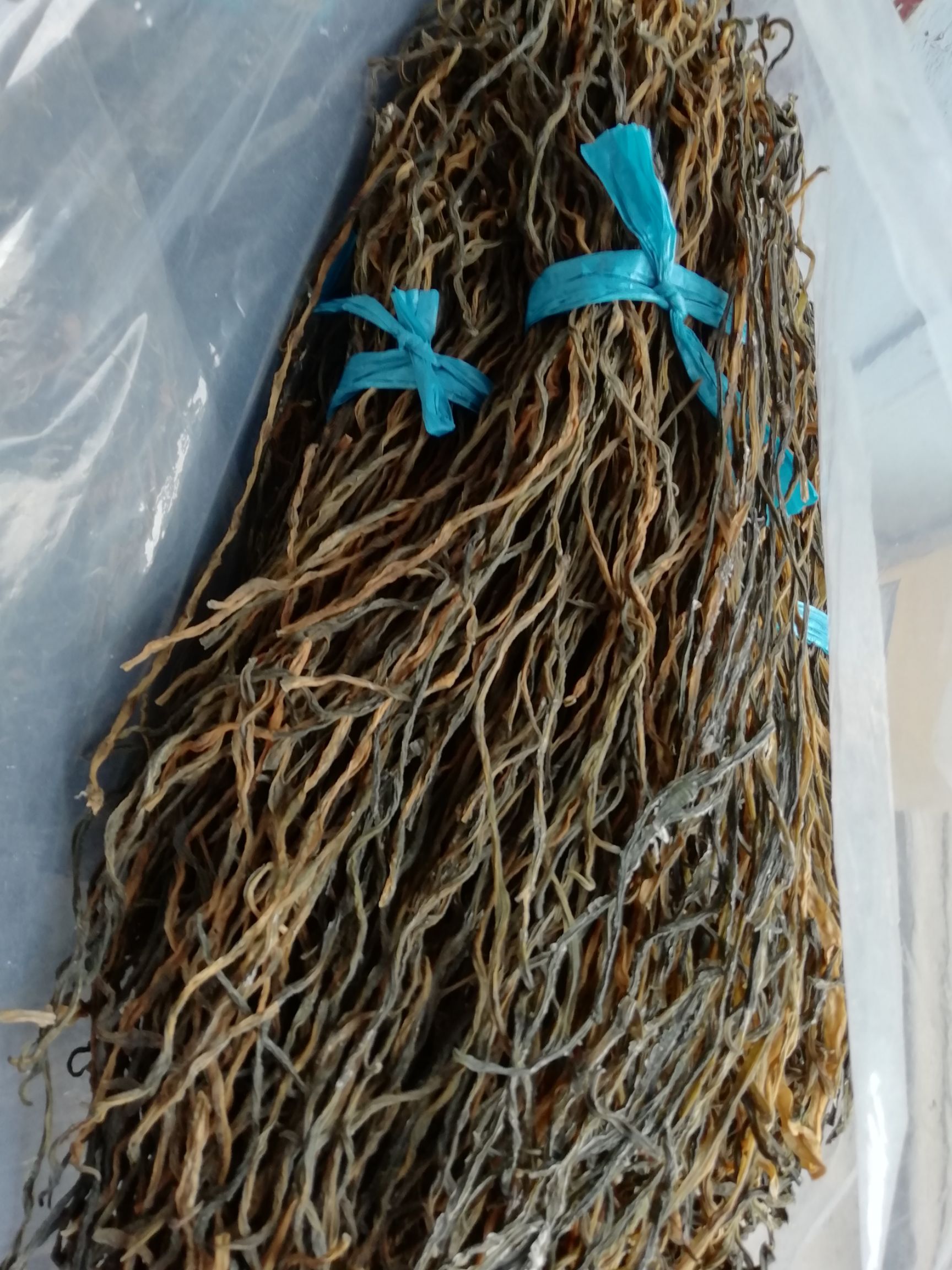 干豆角 6-12个月