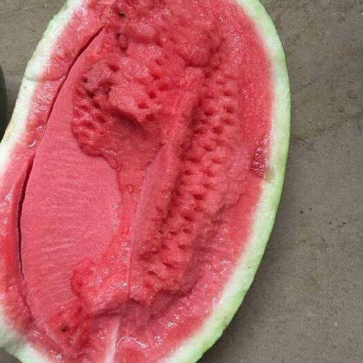 开封龙卷风西瓜 精品龙卷风