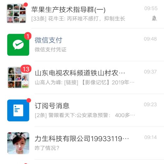 烟台艾草苗