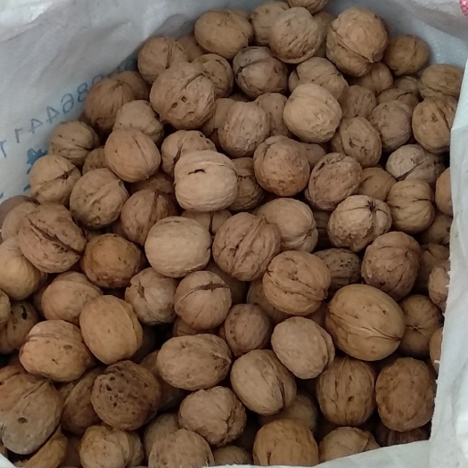 临猗县纸皮核桃