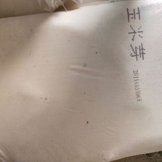 石家庄 玉米次粉