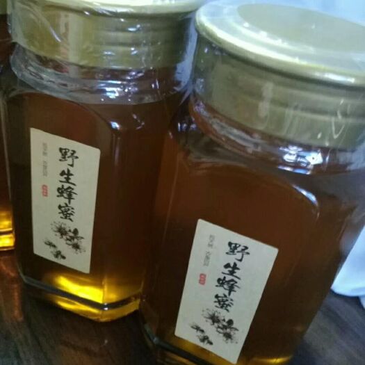 龙岩 天然土蜂百花蜜