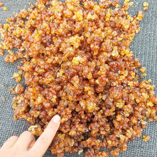 随县 桃胶水洗各种规格，精修和琥珀颗粒，以及各种颜色爆米花水洗预定