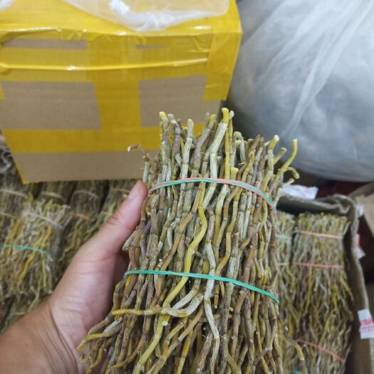 昆明铁皮石斛