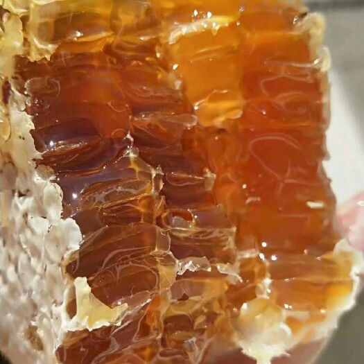 桐庐县 云南纯野生蜂蜜和蜂巢