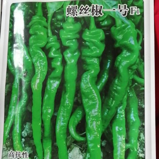 宿州 出售辣椒苗，花菜苗，欢迎预定。