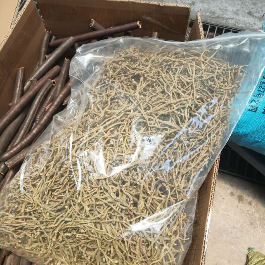 昆明铁皮石斛