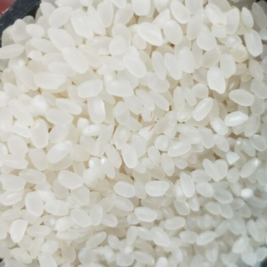 沭阳县苏北大米 一等品 一季稻 粳米