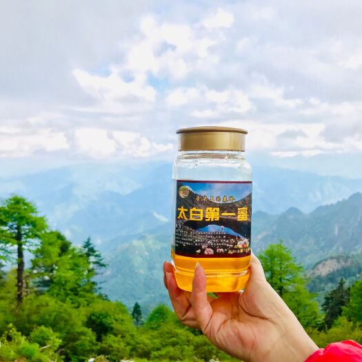 周至县 太白山下的土蜂蜜