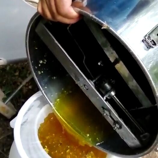 西安 纯正天然土蜂蜜