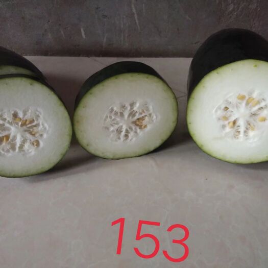 武汉 黑皮嫁接冬瓜