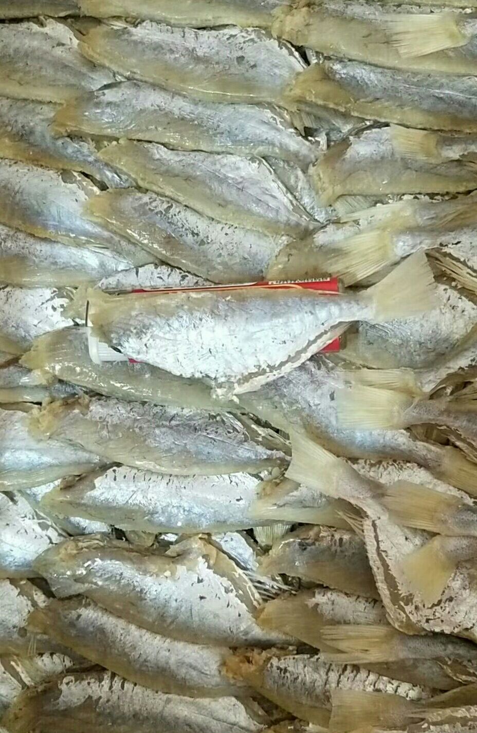 赣州咸鱼，目肉，扒皮鱼，咸鱼干，海鱼，口感佳，一件24斤干度七成