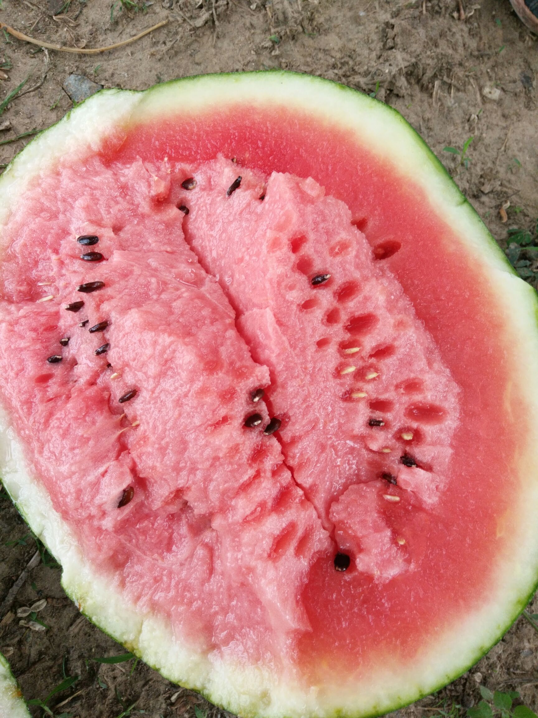 甜王西瓜 好货多多,价格合理