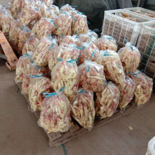 安丘市 偕户村红芽姜，仔姜
