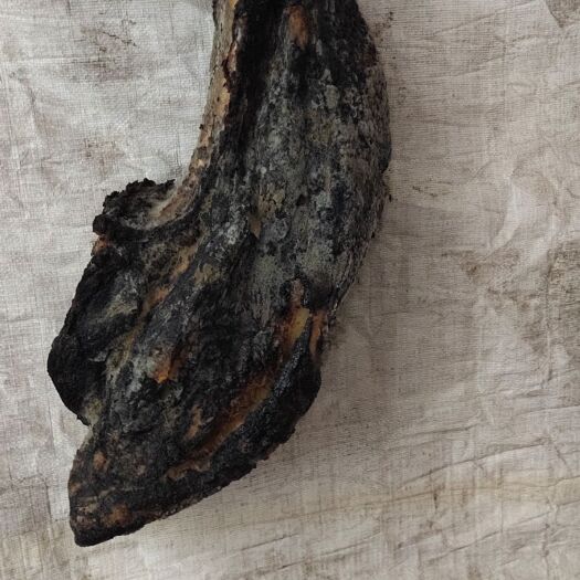 万源市四川腊肉 箱装