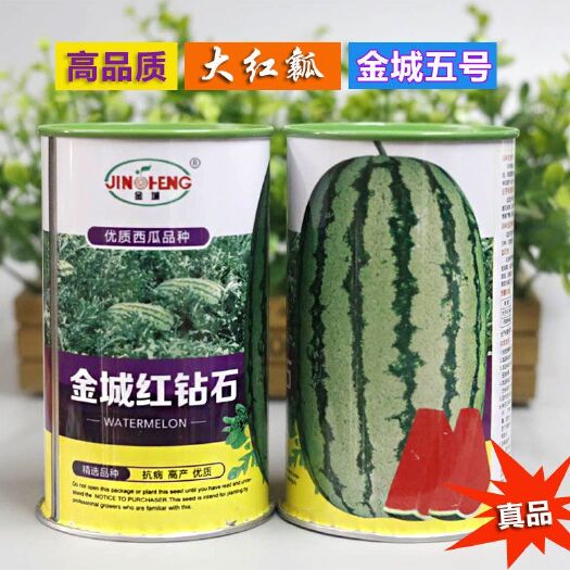樟树市硒砂瓜西瓜种子 宁夏硒砂瓜种子石头瓜种双红瓤金城五号原装正品900粒皮薄不裂