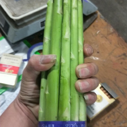 南通绿芦笋 30cm以上