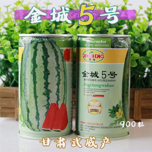 樟树市正品甘肃金城牌 金城五号西瓜种子 石缝瓜石头瓜 压砂大瓜