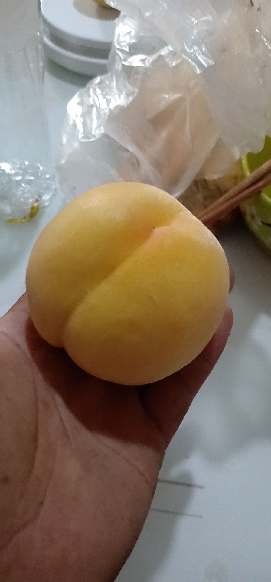 黄金密新1号桃苗  黄金1号桃苗