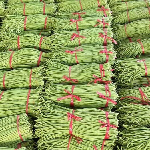 兰陵县精品长豆角
