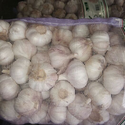 金乡县红皮蒜   金乡大蒜
