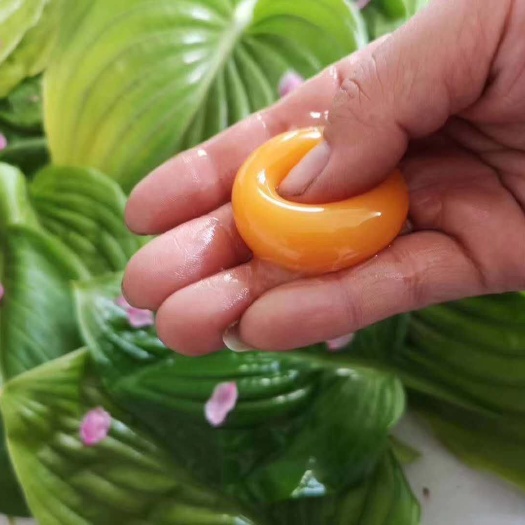 遵化市 遵化特产香菇鸡蛋