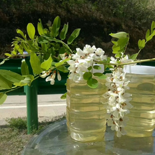 上饶 延安自产自销100％洋槐土蜂蜜
