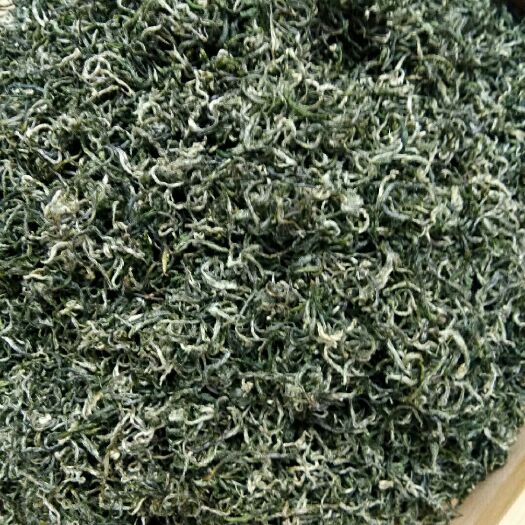 赣州2021新茶江西绿茶遂川狗牯脑茶春季明前茶散装