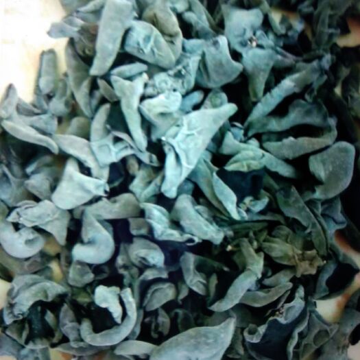 丰林县 自家种植木耳品质好保质量欢迎订购