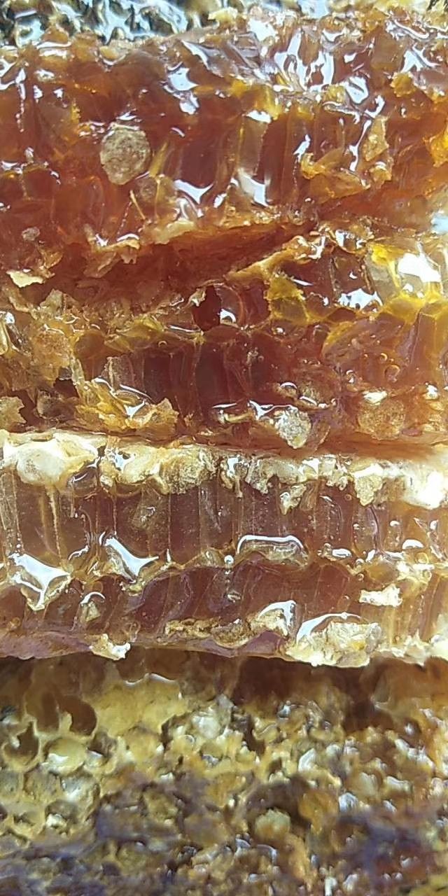 梦到很多野生蜂蜜是什么意思(梦见好多野蜜蜂是什么预兆)