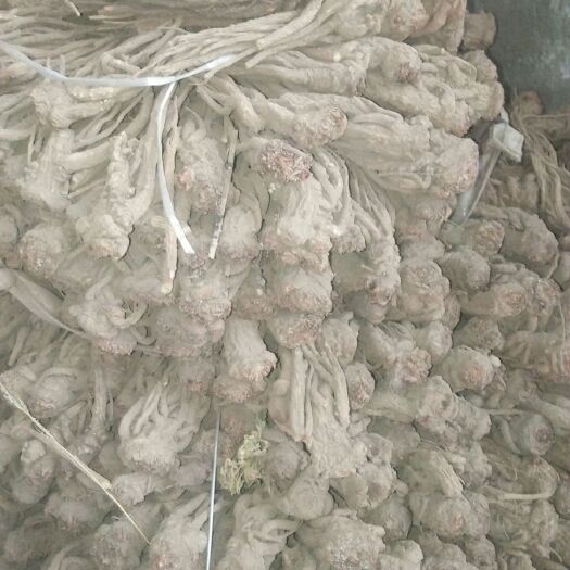 岷县 岷县当归无硫自家产大中货
