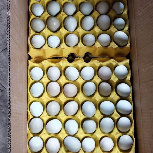 京山市绿壳鸡蛋 中码禄壳蛋360枚净重29斤 15件起批