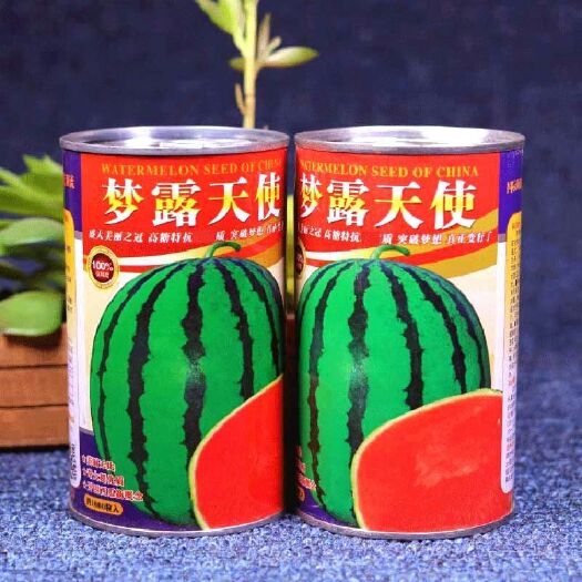 樟树市 梦露天使西瓜种子 特大果型 大红瓤 甜嫩口感好皮薄抗病抗裂