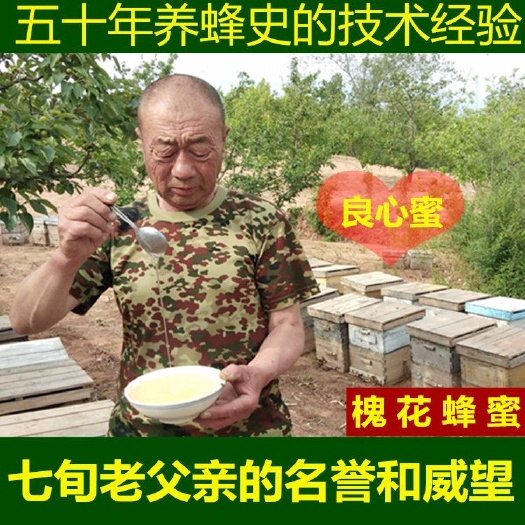 喀左县 农家自产天然槐花蜂蜜pk荆条蜜土蜂蜜枣花蜜东北黑蜂
