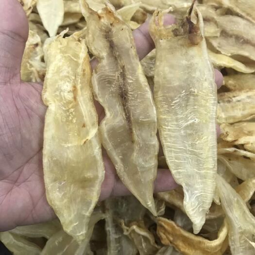 广州鱼胶
