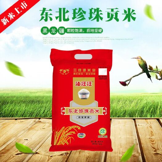 凯里市 油汪汪珍珠大米袋装香米5kg东北珍珠米绿色食品级香米厂家直