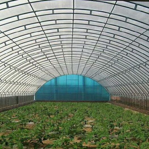 天津钢管大棚