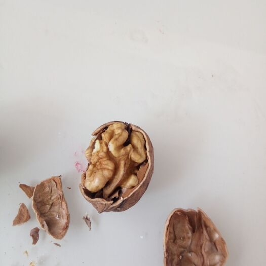磁县 薄皮核桃