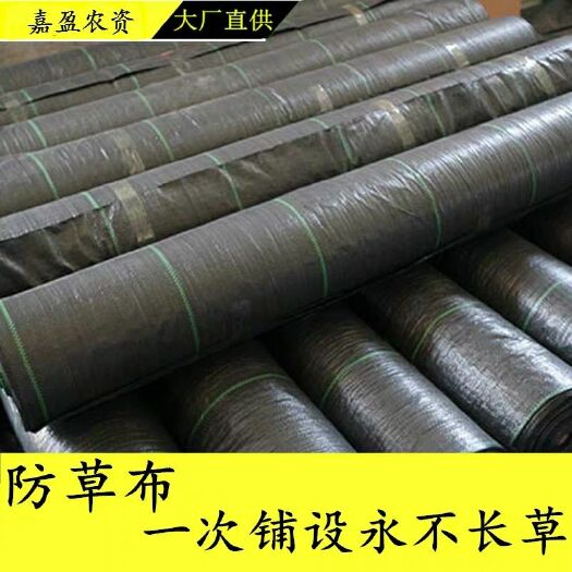 德州 防草布