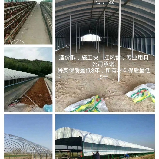 怀远县 建盛专业搭建温室养殖大棚